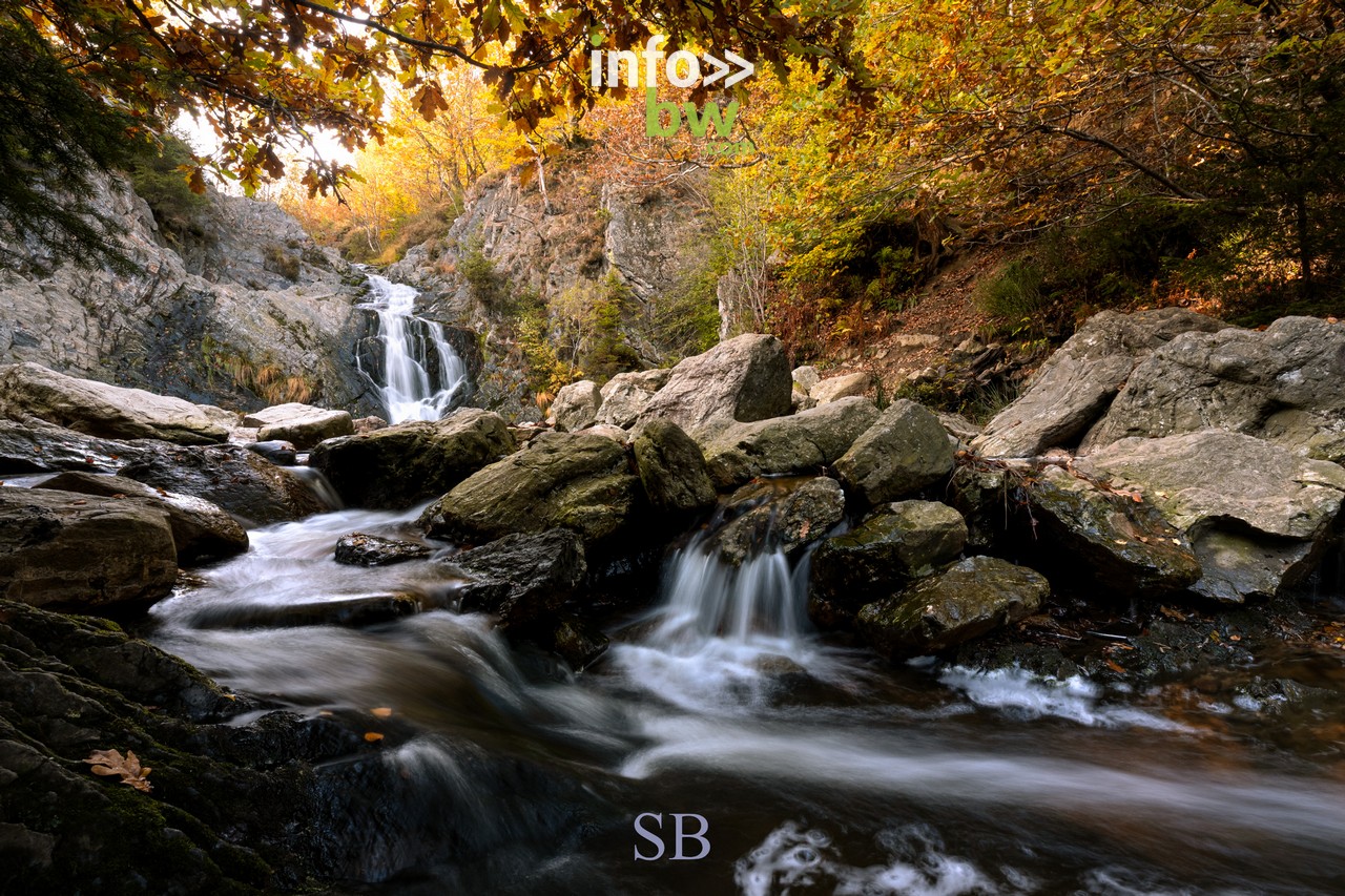 Le photographe nature, Samuel Bouchoms, propose quelques clichés qui montrent la beauté des couleurs de l'automne.