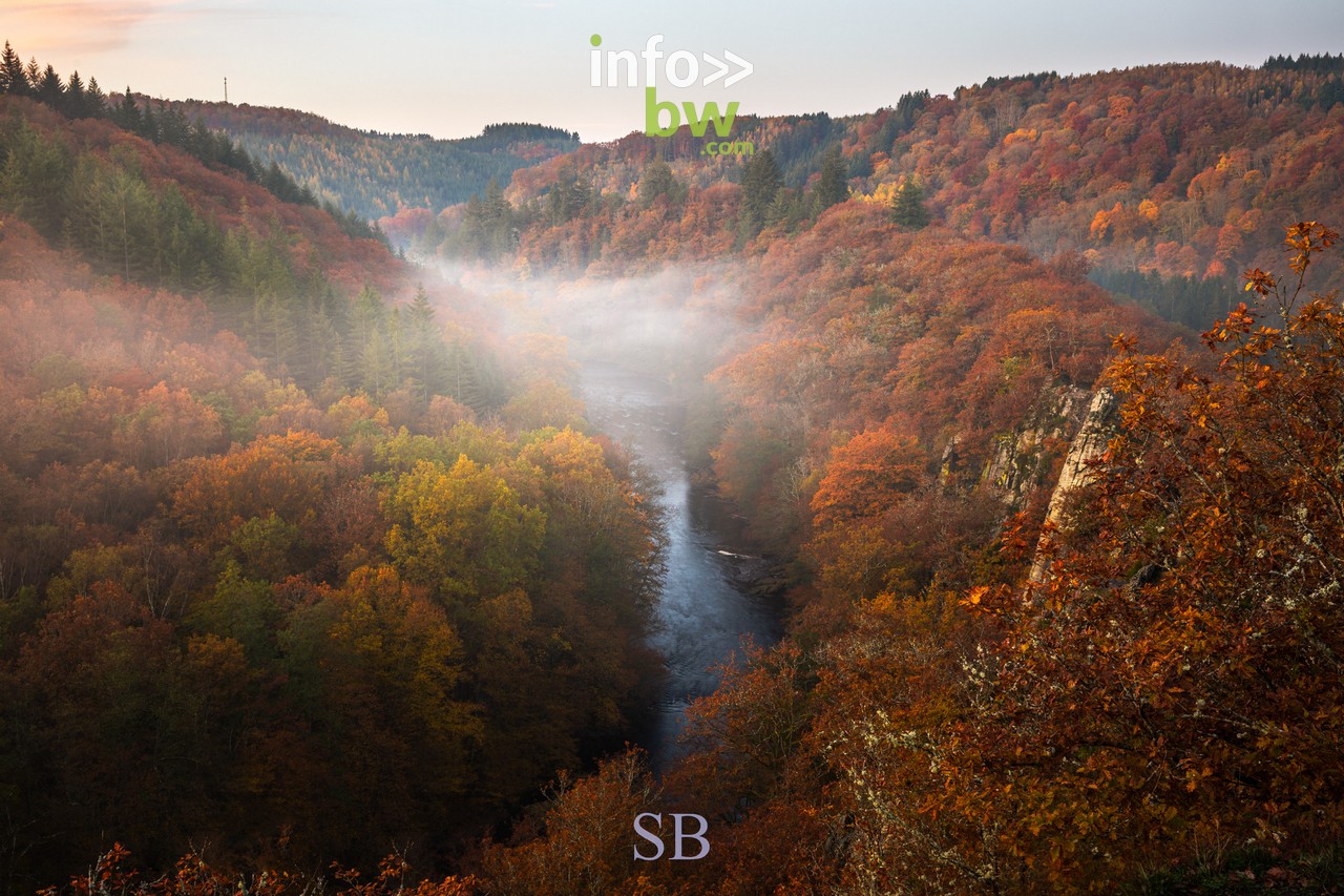 Le photographe nature, Samuel Bouchoms, propose quelques clichés qui montrent la beauté des couleurs de l'automne.