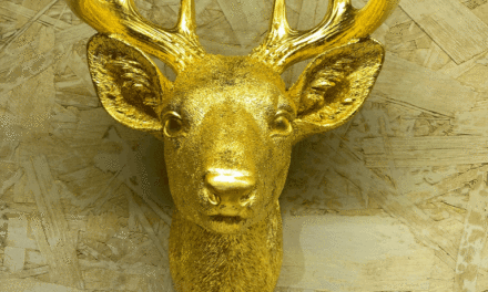 Parcours d’Artistes > Braine l’Alleud