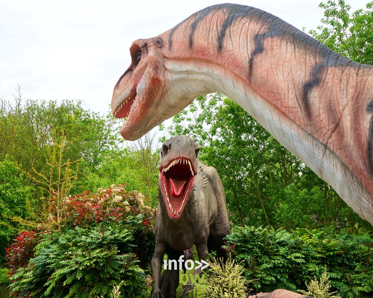 Dino World , la plus grande expo de dinosaures débarque à Gosselies pour la première fois