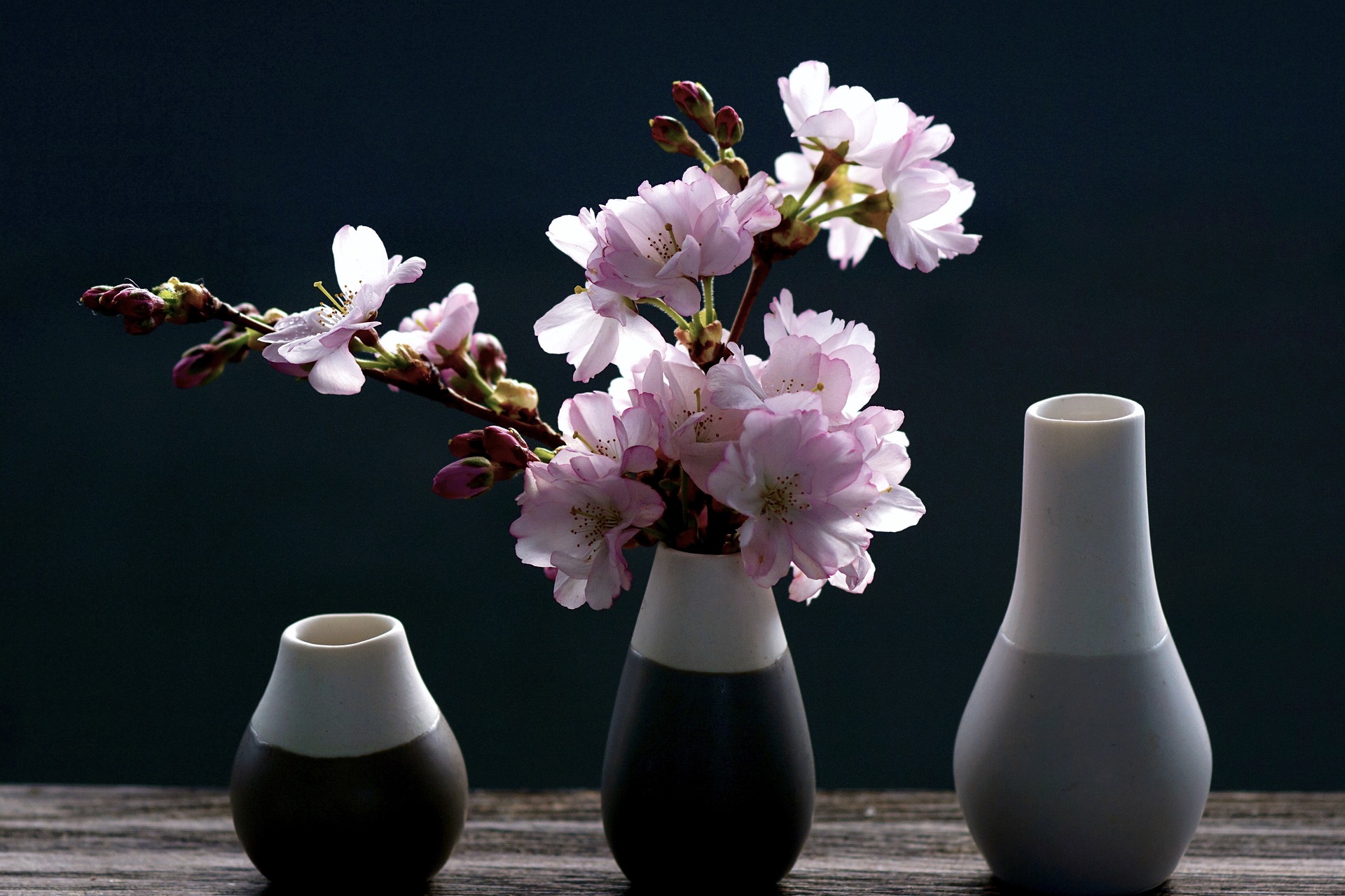 cherry-blossoms-4069596_1920 vide maison bibelots