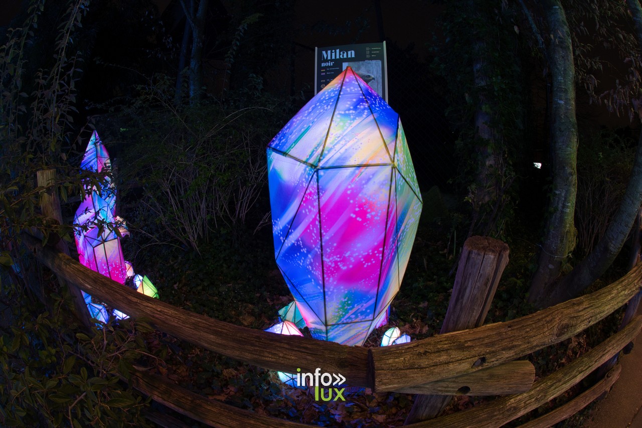 Luminescences