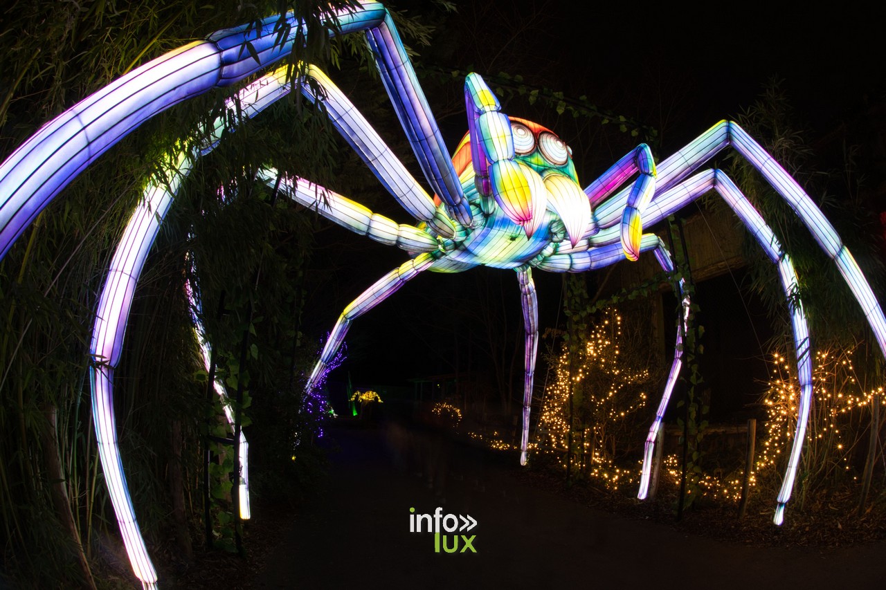 Luminescences