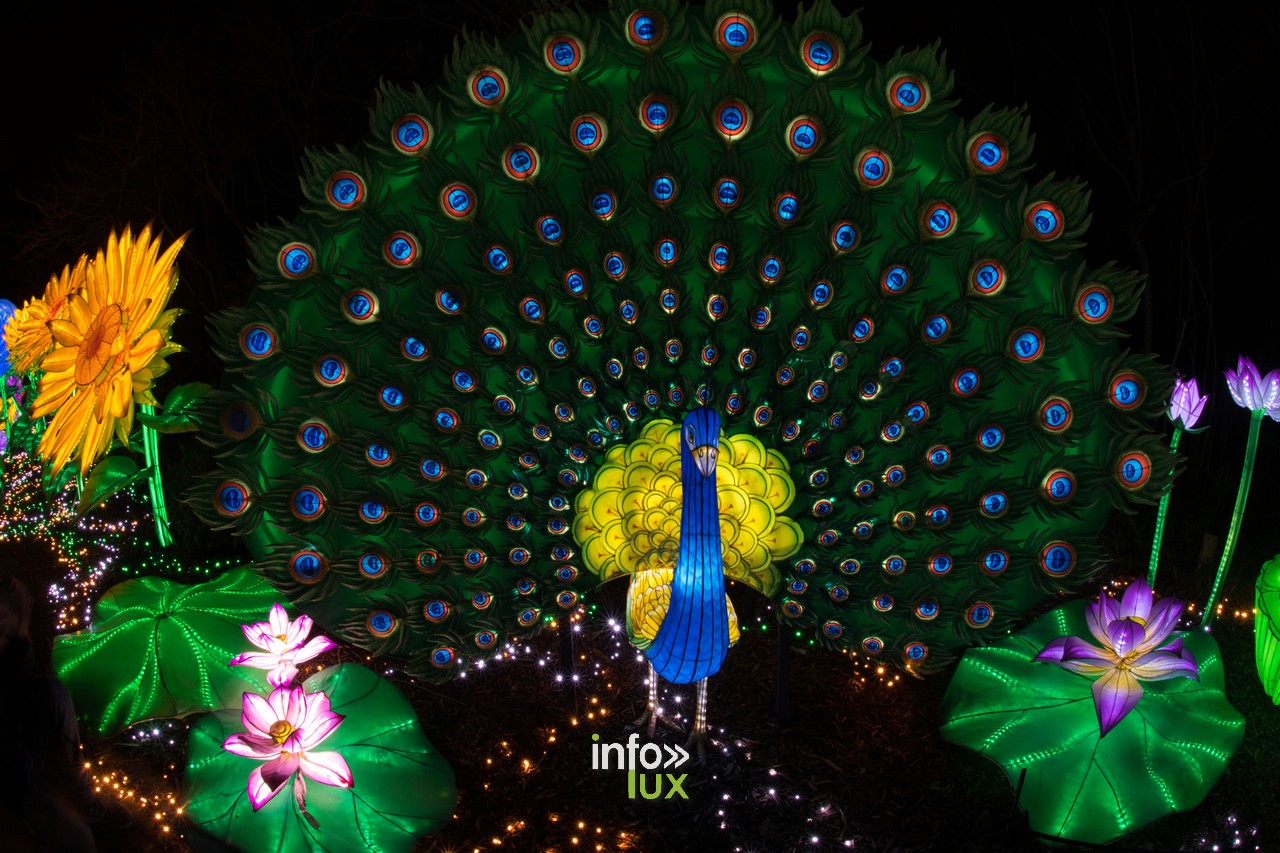Amnéville Luminescences Photos