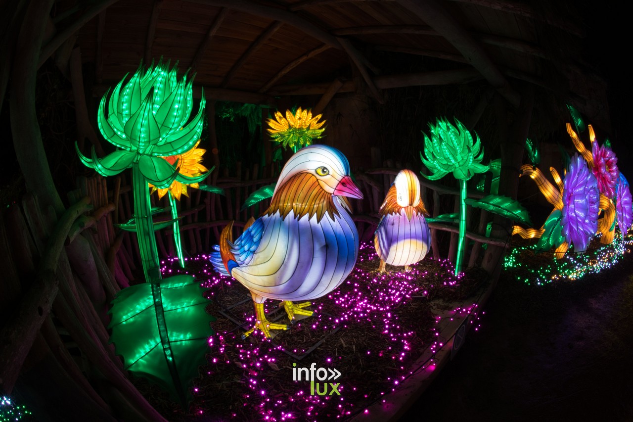 Luminescences