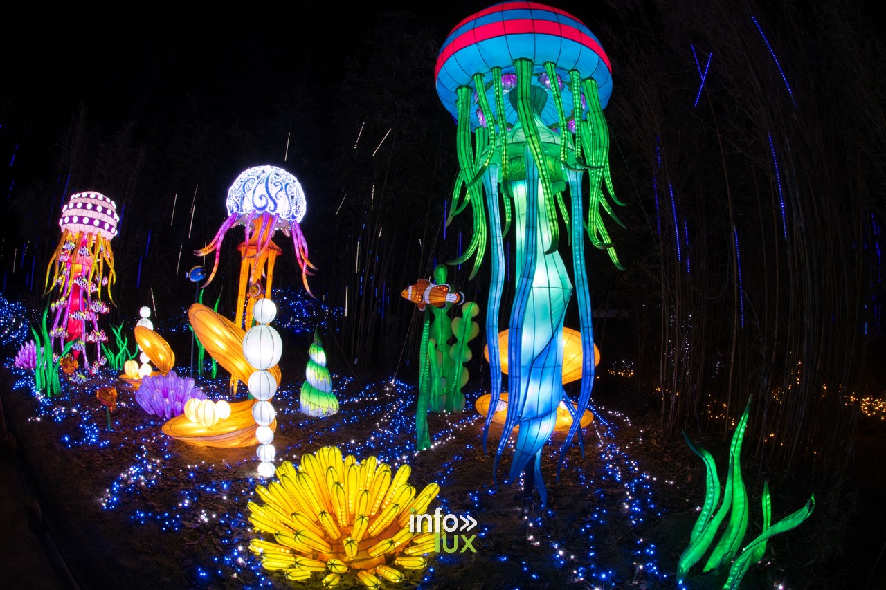 Amnéville Luminescences Photos