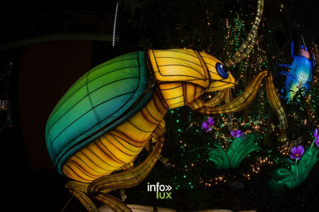 Amnéville Luminescences Photos