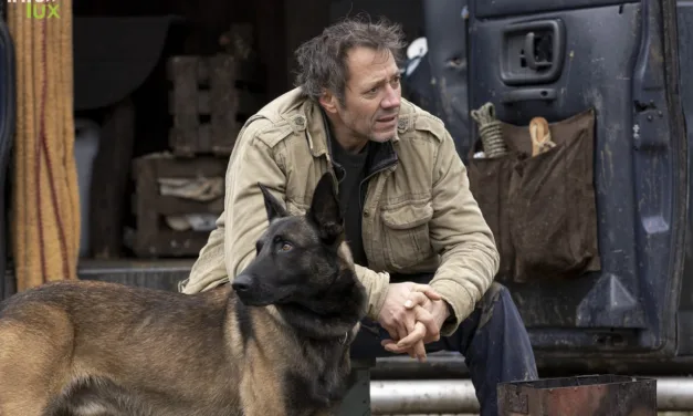 Bruno Debrandt > Le voyageur > Interview