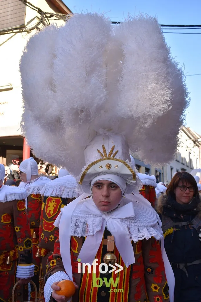 Nivelles > Carnaval > Programme détaillé