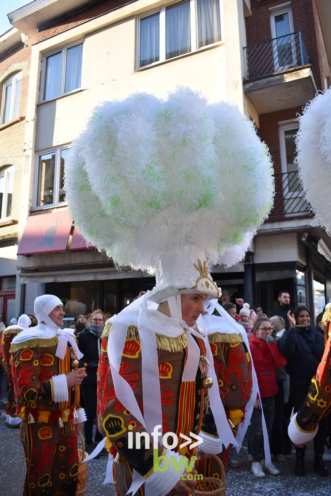Nivelles > Carnaval > Programme détaillé