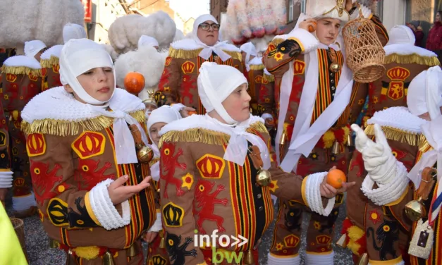 Nivelles > Carnaval > Programme détaillé