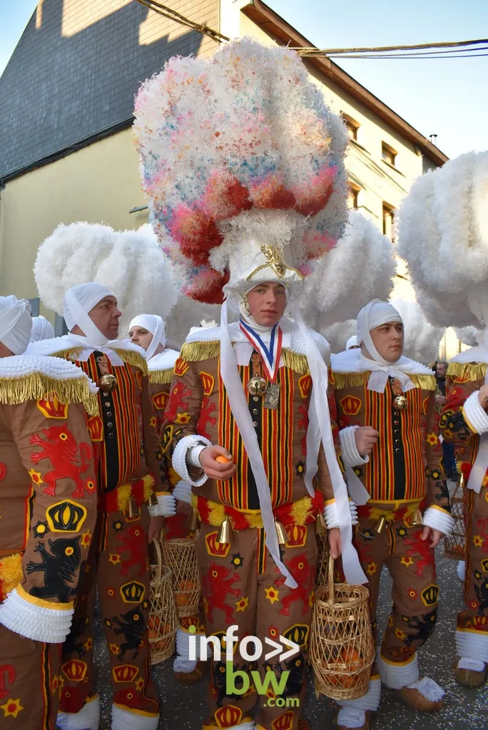 Carnavals en Belgique