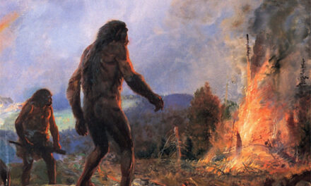 Les grands feux, en province de Luxembourg