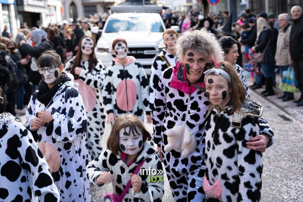 Carnaval  Andenne  Photos