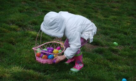 WARMIFONTAINE > CHASSE AUX OEUFS