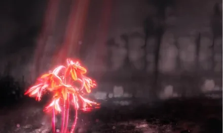 EUROVISION 2023 > GUSTAPH