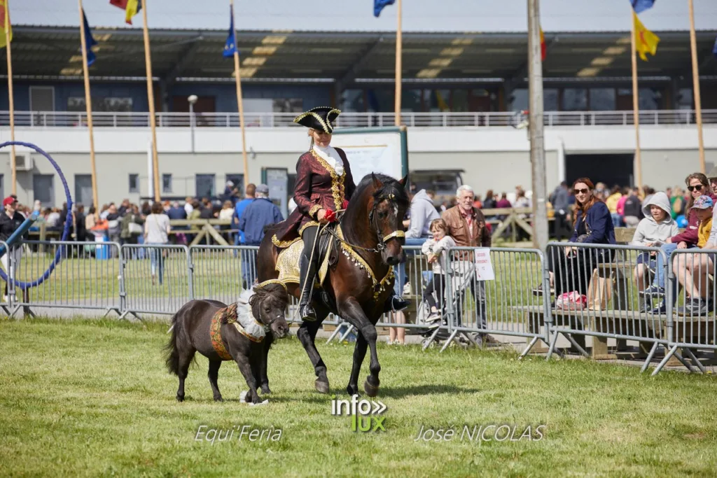 Libramont > Equi'Feri > Photos