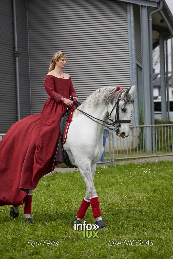 Libramont > Equi'Feri > Photos