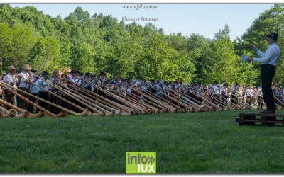 Gaume> plus de 150 Cors Alpins > Reportage photos