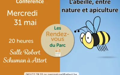 ATTERT > CONFÉRENCE > BIEN ÊTRE ABEILLE