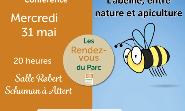 ATTERT > CONFÉRENCE > BIEN ÊTRE ABEILLE