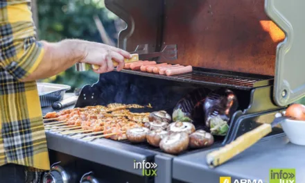 Info-Brico > Choisir un barbecue à gaz ?