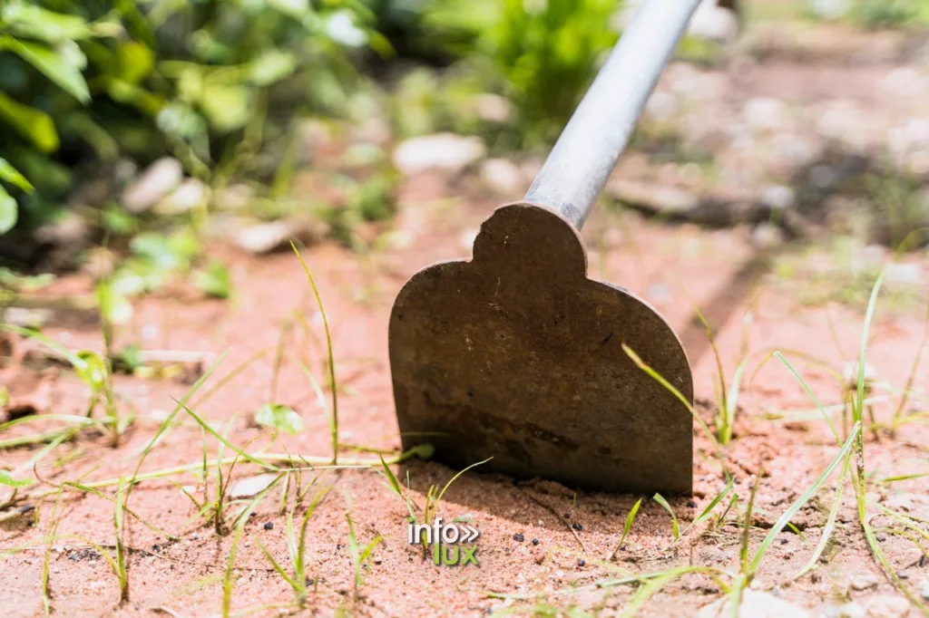 Entretien Jardin > Conseils Essentiels