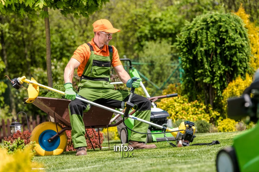 Entretien Jardin > Conseils Essentiels