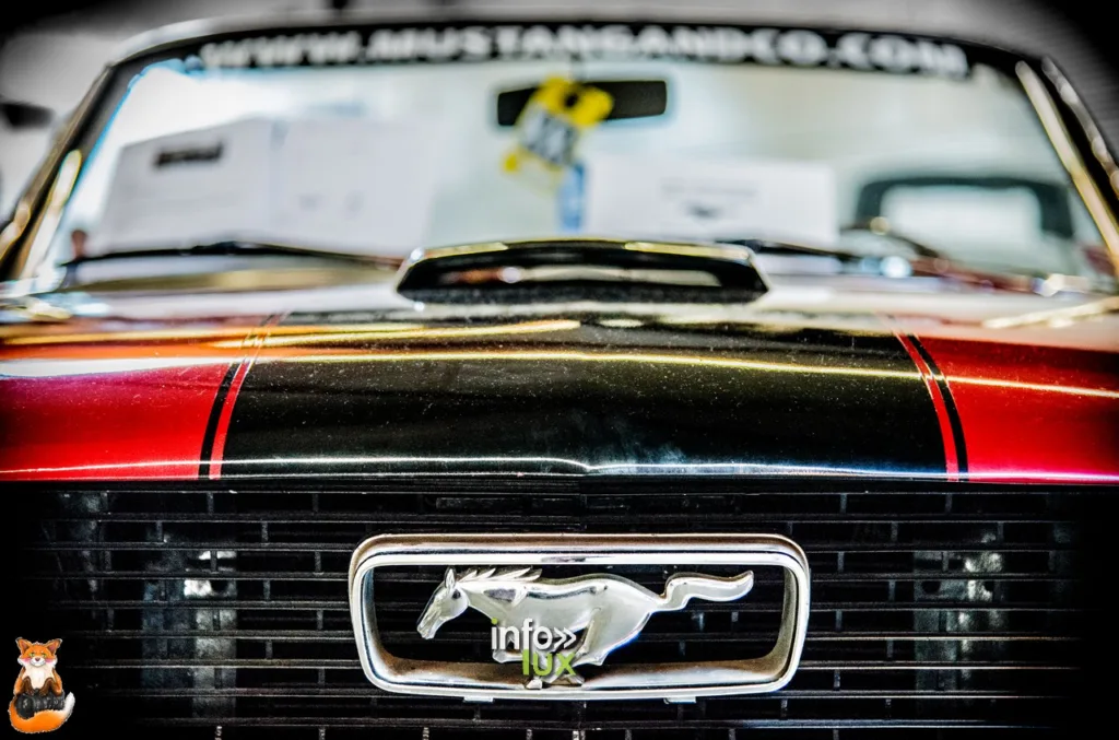 Mustang and co,> Courtrai > Photos