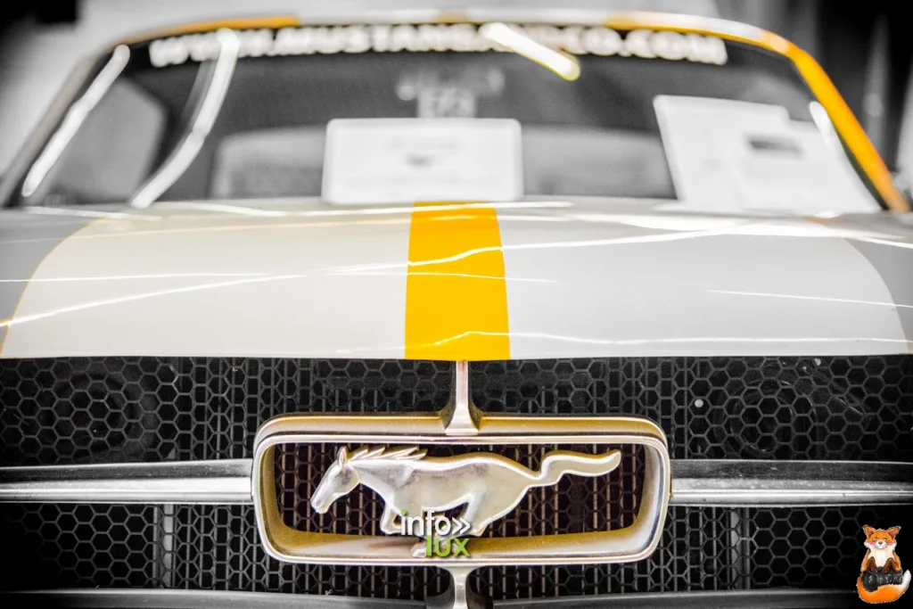 Mustang and co,> Courtrai > Photos