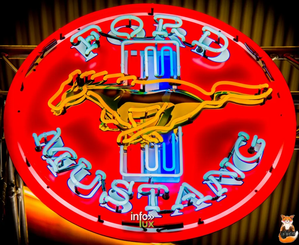 Mustang and co,> Courtrai > Photos