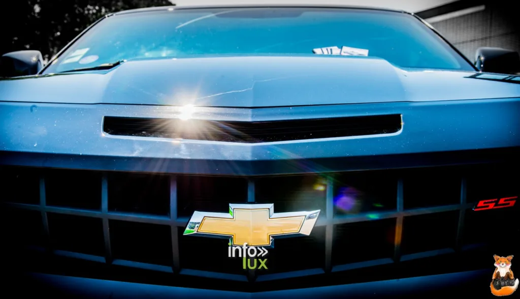 Mustang and co,> Courtrai > Photos