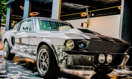 Mustang and co > Courtrai > Photos