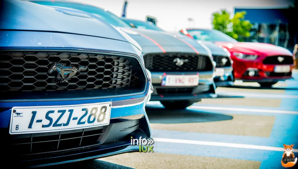 Mustang and co,> Courtrai > Photos