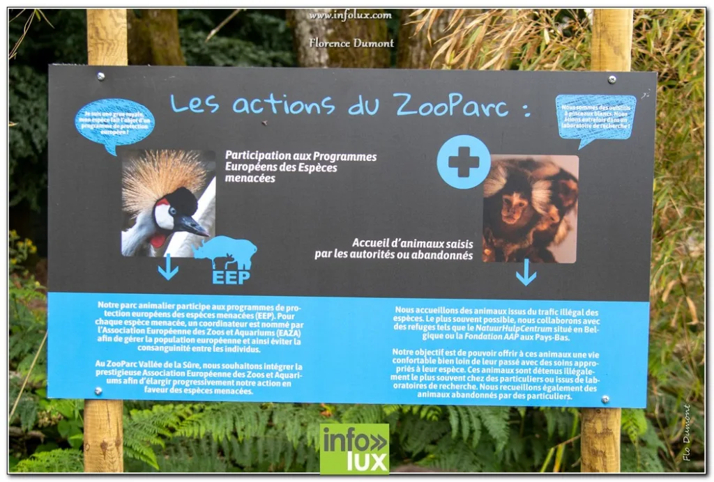 Vaux-Sur-Sûre > Zoopark  > Photos