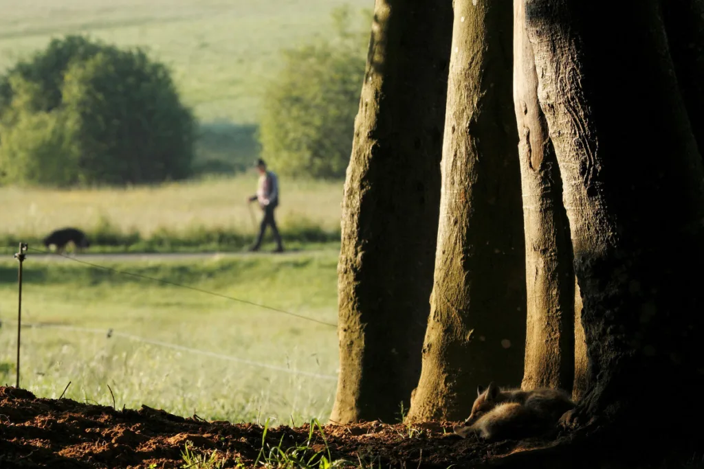 NAMUR > FESTIVAL > NATUREINTERNATIONAL NATURE