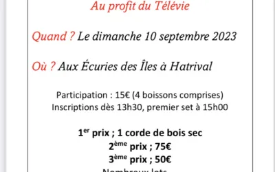 CONCOURS > TÉLÉVIE