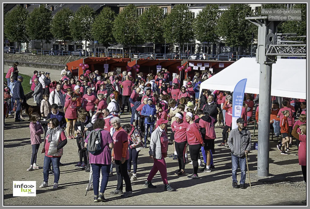 Bouillon > Rose: L'Union dans la Lutte contre le Cancer du Sein.