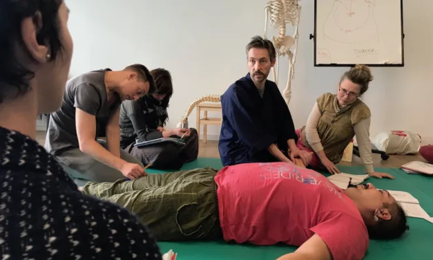 BIEN-ÊTRE > SHIATSU > ET LA FORMATION ?