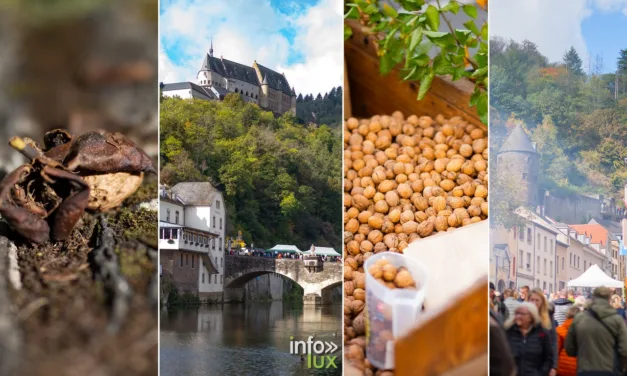 Luxembourg > Vianden > Marché aux noix