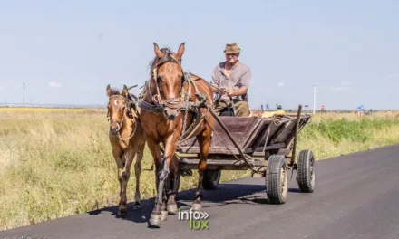 Roumanie > Voyage > Découverte