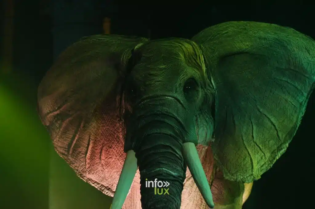 Arlon > L'Arche de Noël > Photos