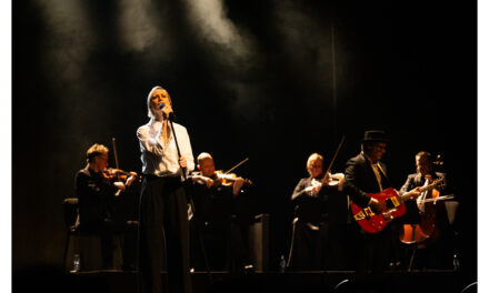 Hooverphonic > concert > Centre Culturel de Huy