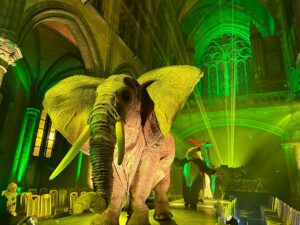 Arlon > Spectacle > L’Arche de Noël