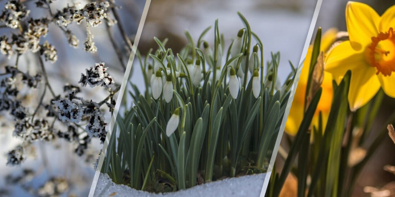 Préparer son jardin pour le printemps