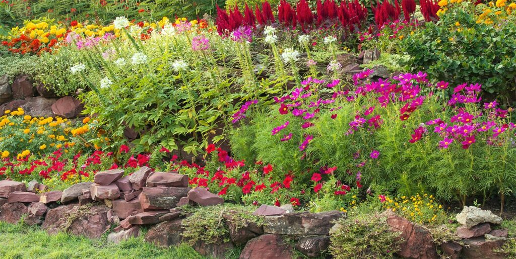 Préparer son jardin pour le printemps