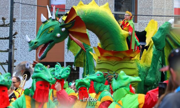 Marche-en-famenne > Carnaval > Grosse Biesse > Photos