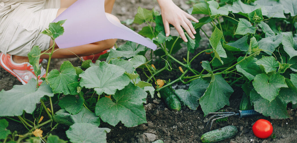 Préparer son jardin pour le printemps