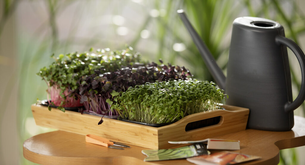 Préparer son jardin pour le printemps