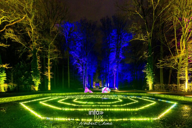 Enghien > Nuits Lumineuses > Photos